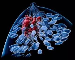依西美坦和阿那曲唑联合用药可以更好的治疗乳腺癌吗？